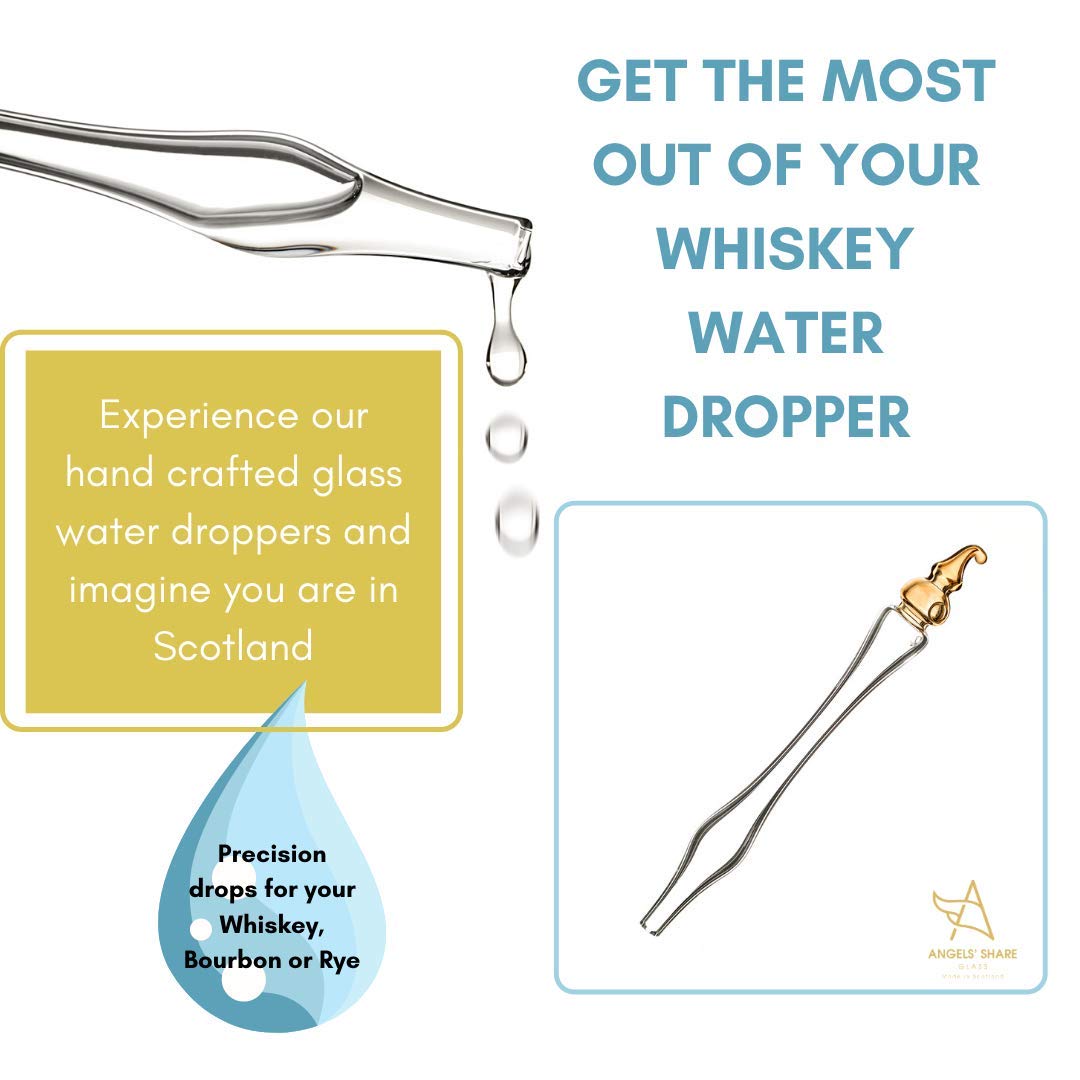 Amazon.com | Glass Whiskey Water Dropper with a Pot Still Top